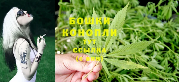 стаф Арсеньев
