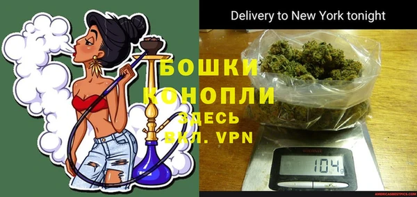 стаф Арсеньев
