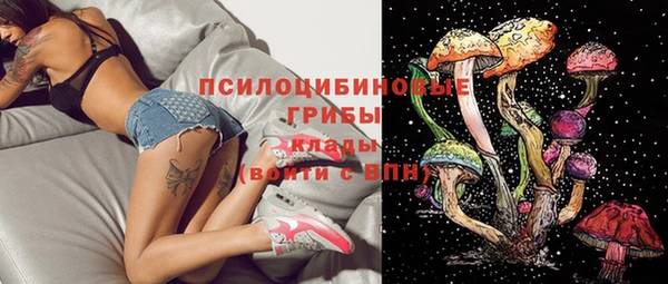 стаф Арсеньев