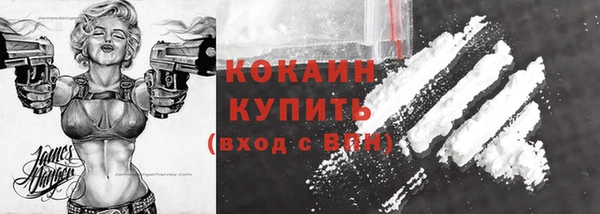 стаф Арсеньев