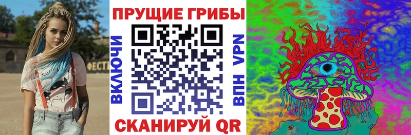 Купить где  Спас-Деменск  Галлюциногенные грибы Cubensis 